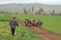 اتحاد الفلاحين يطالب الحكومة بمنع استيراد المنتجات الفلاحية المنتجة محليا