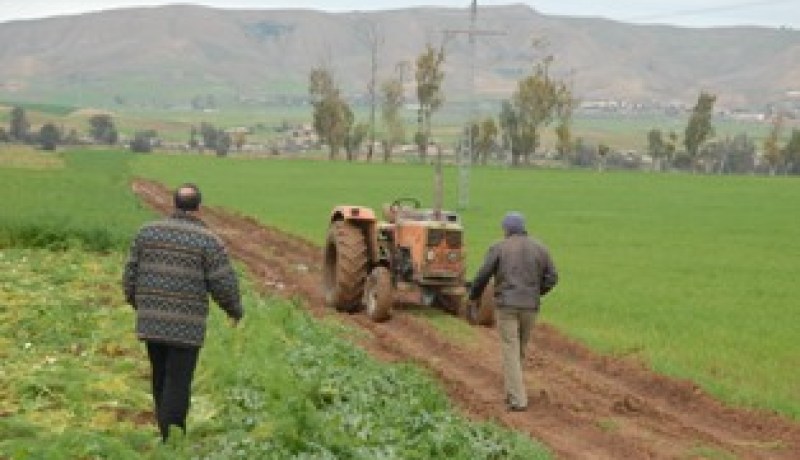 اتحاد الفلاحين يطالب الحكومة بمنع استيراد المنتجات الفلاحية المنتجة محليا
