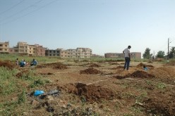 سمسار‮ ‬يبيع قطعة أرض زراعية ‮7 ‬مرات بقيمة ‮71 ‬مليارا‮ ‬