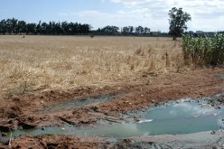 مليون و100 ألف هكتار من الأراضي الفلاحية.. مُهملة