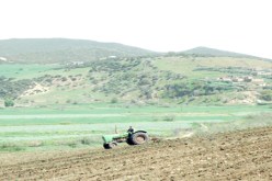 عليوي‮ ‬للنهار: تحويل الأراضي‮ ‬الفلاحية إلى عمران سيؤدي‮ ‬بالفلاحة للهلاك