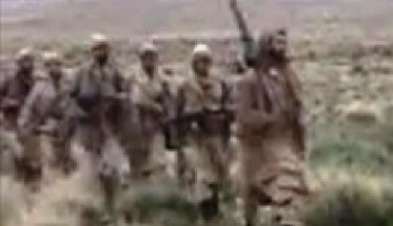 إرهابيون يختطفون زوجة موّال في قنتيس بتبسة