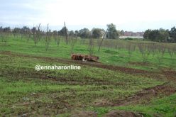 صرف 160 مليار على حديقة لم تنبت من الأرض بعد في خنشلة!