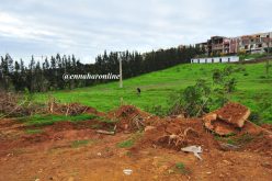 حارس ببلدية برج الكيفان متهم بتزوير عقد قطعة أرض وبيعها بـ 1.2 مليار سنتيم