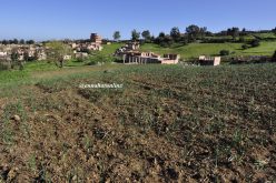 تحقيقــات مــع والي ورئيـس دائــرة في فضيحــة نهـــب للعقـــار بقيمـــة 300 مليــــار