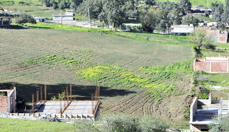 شركة ترقية عقارية تنصب على 500 زبون وتسلبهم 50 مليارا