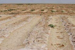 إنطلاق عملية مسح الأراضي بالبلديات المتبقية بأم البواقي