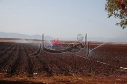 60 % من الأراضي الفلاحية يسيطر عليها العروش