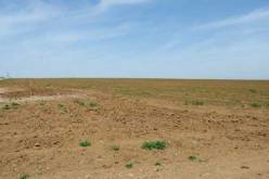 هذه هي شروط وكيفيات التنازل عن قطع أرضية تابعة للأملاك الخاصة للدولة