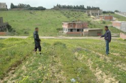 مدير الفلاحة الاسبق يمنح قرارات غير قانونية  لاحد المستثمرين الخواص