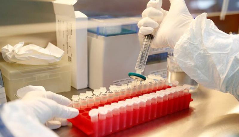 دراسة مُدهشة.. أشخاص يمتلكون مناعة ضد كورونا رغم عدم إصابتهم بها!