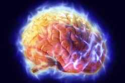 الدماغ يخزن ويسترجع ذكريات ذات علاقة بمخاوف معينة دون غيرها