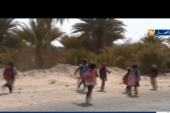 بالفيديو ..تلاميذ يقطعون 3 كم للالتحاق بمدارسهم في ورقلة