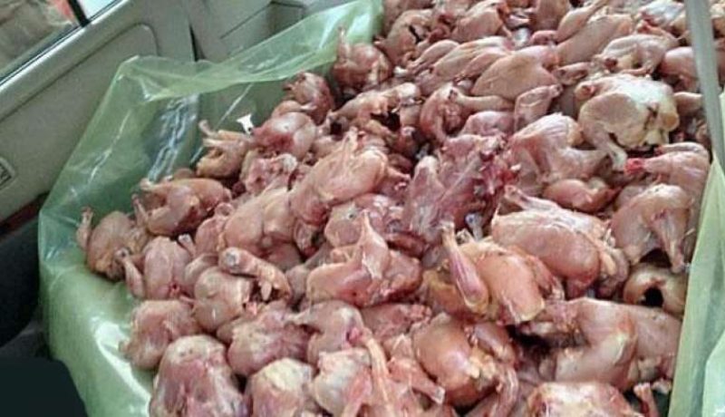 حجز 3 قناطير من اللحوم البيضاء الفاسدة في تلمسان