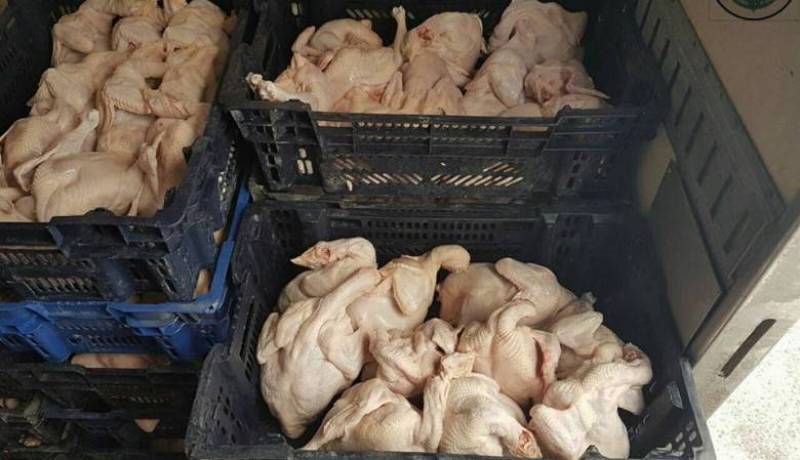 ضبط مركبة بها أكثر من قنطار دجاج فاسد بالمدينة الجديدة في وهران