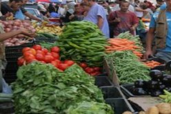 4.5بالمائة نسبة التضخم في الجزائر خلال 2011