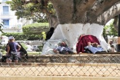 سوريون دخلوا الجزائر بجوازات سفر مزورة سرقها تنظيم جبهة النصرة