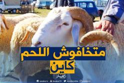 رئيس فيدرالية الموالين: لا خوف على وفرة اللحوم وأضاحي العيد