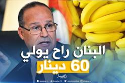 بوعزقي يدشن مشروع لزرع 100 هكتار من أشجار الموز بحجوط