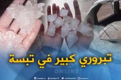 بالصور..تساقط برد من الحجم الكبير يحدث كارثة بتبسة