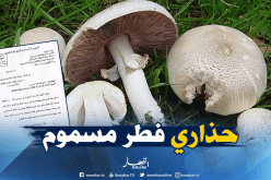 وفاة طفلة وتسمم عائلتها بعد تناولهم فطر مسموم ببومرداس