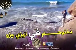 دفن الحيتان الأربعة الجانحة للشاطئ بتيزي وزو بعد تحديد فصيلتها بـ”حوت العنبر”