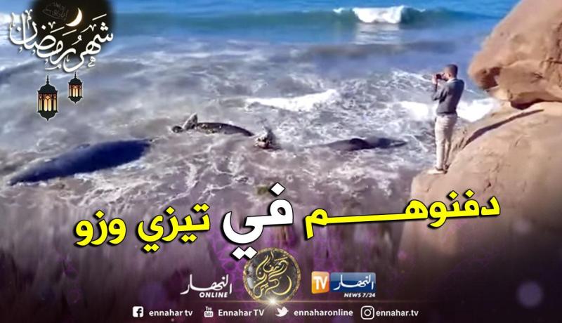 دفن الحيتان الأربعة الجانحة للشاطئ بتيزي وزو بعد تحديد فصيلتها بـ”حوت العنبر”