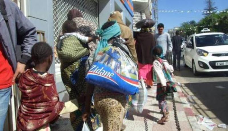 الأفارقة يزاحمون «الجزارة» على ذبح أضاحي الجزائريين