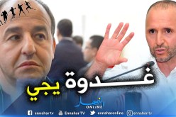 “مدان” من القاهرة:”بلماضي سيلتحق غدا والكاف ضبطت كل شيئ”