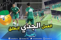 بالصور والفيديو.. الخضر يُجرون أول حصة تدريبية بقطر !!