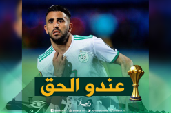 المصريون يؤكدون: “محرز على صواب” !