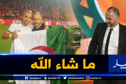 فيغولي يُهنّئ بلماضي.. “ما شاء الله”