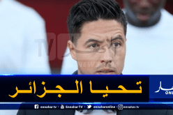 بالفيديو.. ناصري يفتخر بجزائريته ويشيد ببلماضي والتتويج القاري