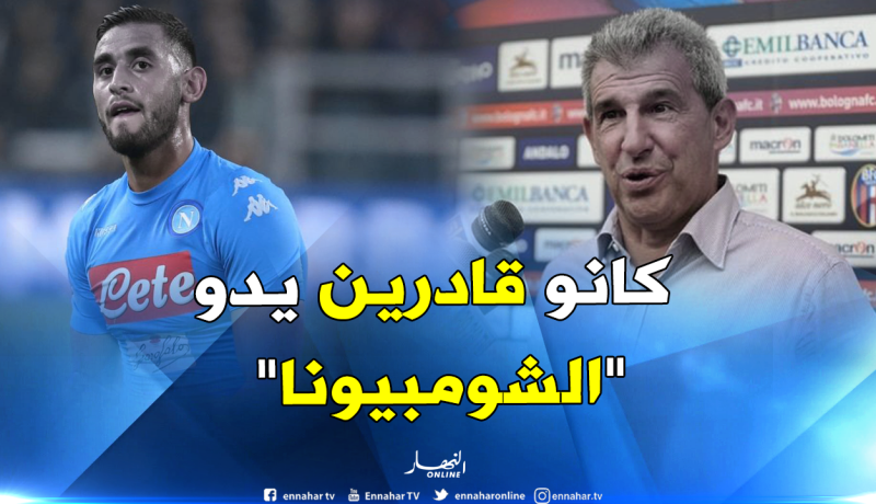 لاعب “نابولي” السابق: “لولا إصابة غولام لكان نابولي بطلا للكالتشيو”