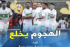 المصريون يشيدون بهجوم “الخضر” !