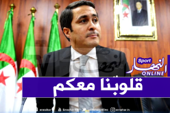 وزير الشباب والرياضة يدعم أهل “البليدة”
