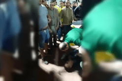 بالصور.. إصابات وسط أنصار الكناري بسطيف