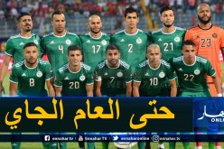 الفيفا تتجه لتأجيل كل مباريات المنتخبات إلى غاية عام 2021!