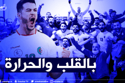 بعد تحقيقهم لريمونتادا تاريخية.. محاربو الصحراء يصنعون الحدث في مصر !