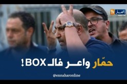 رؤساء أندية برتبة ملاكمين ..وحسان حمّار نجم الحلبة !