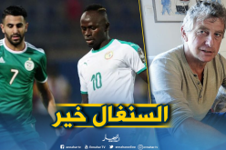 “غوركوف”: “السنغال أفضل فريق في إفريقيا” !