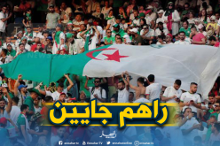 الجوية الجزائرية تستعد لإعادة الجماهير الجزائرية