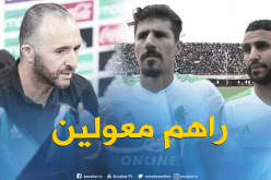 تصريحات بلماضي تدفع “محرز” و “بونجاح” لتقديم الأفضل !