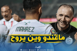تصريحات “محرز” تصدم “الجزائريين” !