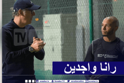 براهيمي يتحدى “بونجاح”.. “مستعدون للقتال” !