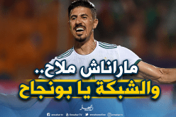 الجزائريون يدعمون “بونجاح” وينتظرون تألقه في النهائي !