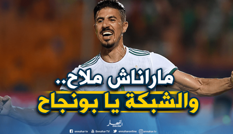 الجزائريون يدعمون “بونجاح” وينتظرون تألقه في النهائي !