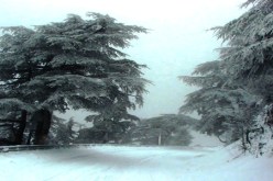 تساقط الثلوج الأولى بأعالي تيكجدة بالبويرة