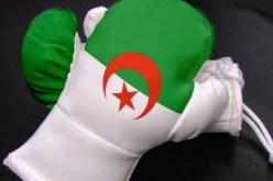 6 ملاكمين جزائريين يتأهلون للدور النهائي من البطولة العربية