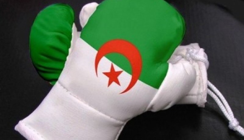 6 ملاكمين جزائريين يتأهلون للدور النهائي من البطولة العربية